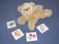 Plüschbär mit Lernkarten.